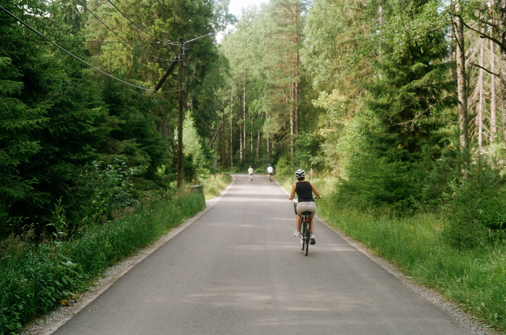 Forest road