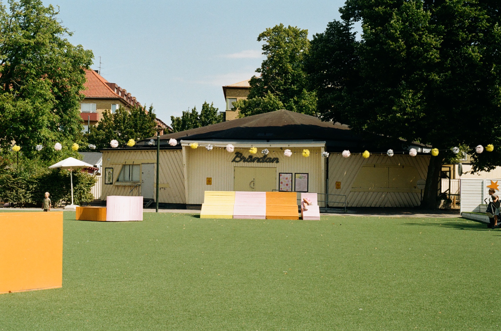 Summer scene